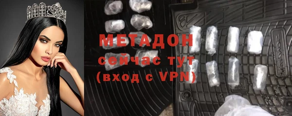 прущие грибы Няндома