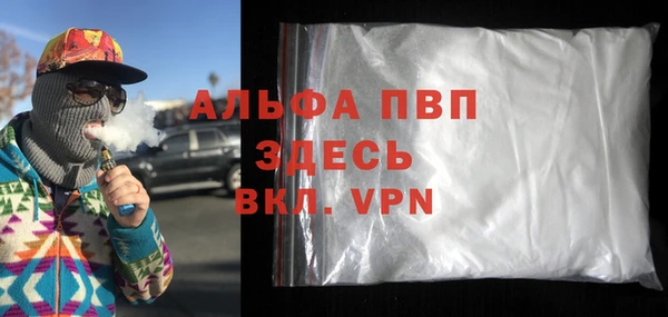 прущие грибы Няндома