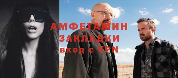 прущие грибы Няндома
