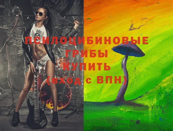крисы Нязепетровск