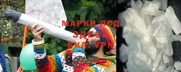 прущие грибы Няндома
