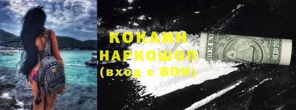 прущие грибы Няндома