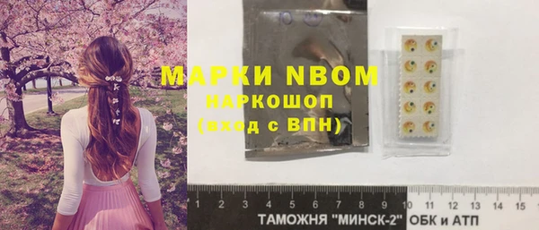 прущие грибы Няндома