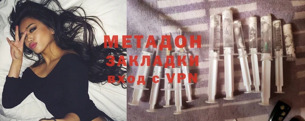 прущие грибы Няндома