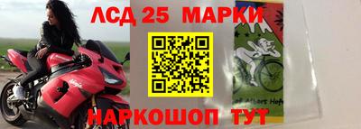 СК Абинск
