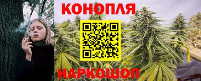 гидропоника Абакан