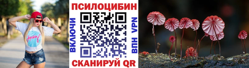 Псилоцибиновые грибы Psilocybe  МЕГА tor  Апатиты 