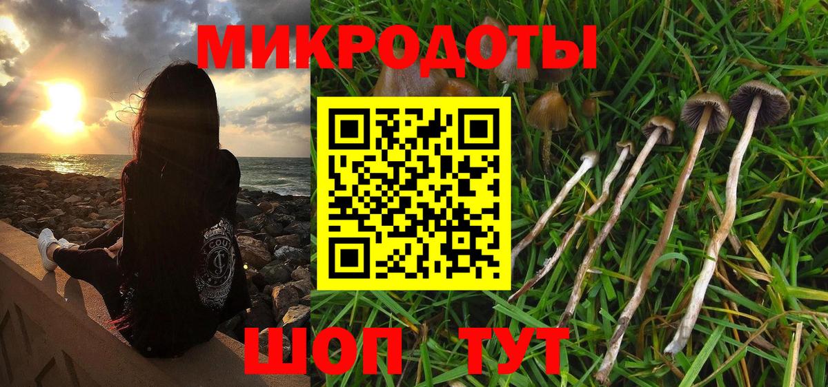 Галлюциногенные грибы прущие грибы Апатиты
