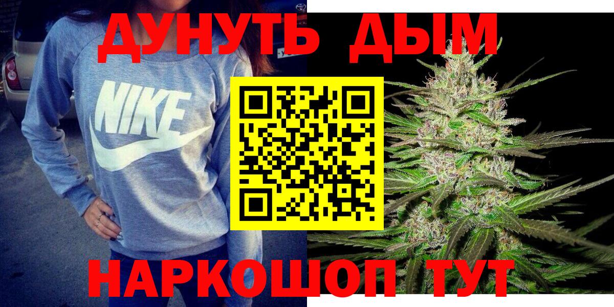 Бошки Шишки планчик Апатиты